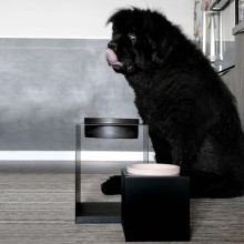 DON ARTURO Teccà 1 | Pet Bowls Holder | Agof Store