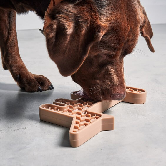 MiaCara Volpe Hundespielzeug - Agof Store