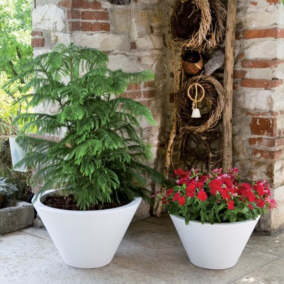 NICOLI Chiron | Blumentopf | Agof Store