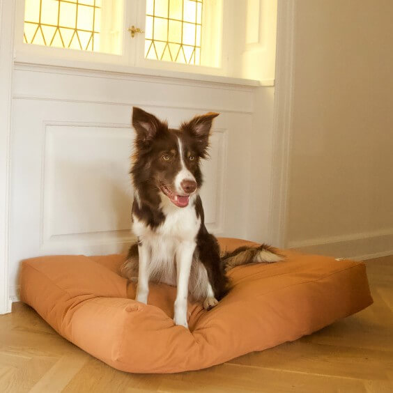 Tadazhi Tobine cuscino per cani - Agof Store