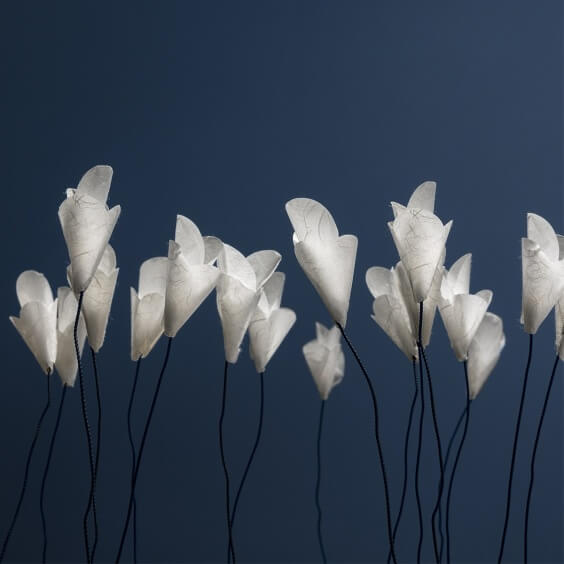 For You Lampada da tavolo Catellani & Smith - Agof Store