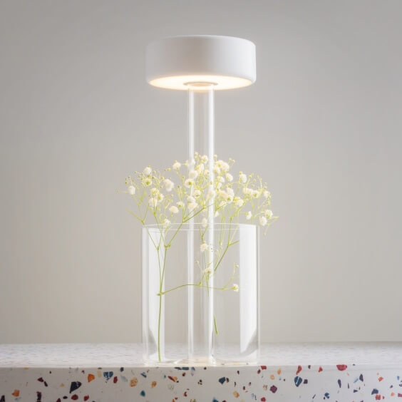 Maytoni AI Collaboration Vase table lamp - Agof Store