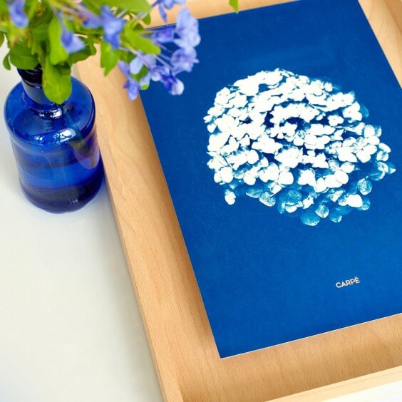 SWAB DESIGN Cyanotype 30x40 | Quadro | Agof Store