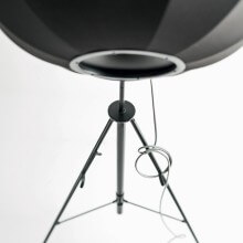 Pallucco Fortuny Lampada da terra - Agof Store