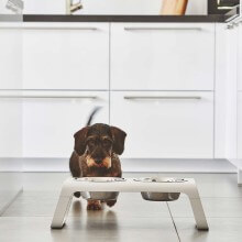 MiaCara Desco pet bowl set - Agof Store